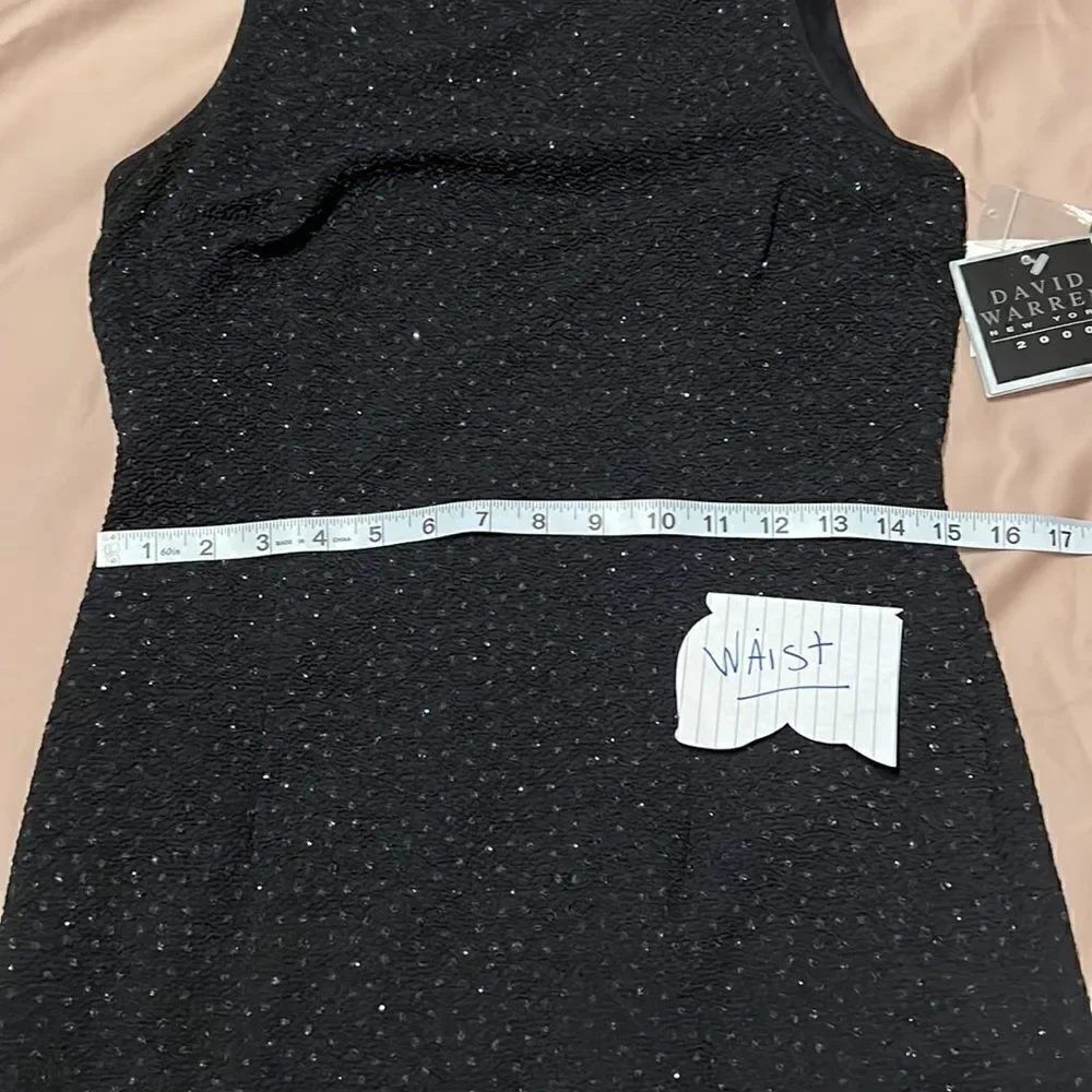 David Warren NY NWT black sparkly sleeveless zip back keyhole lined sheath dress